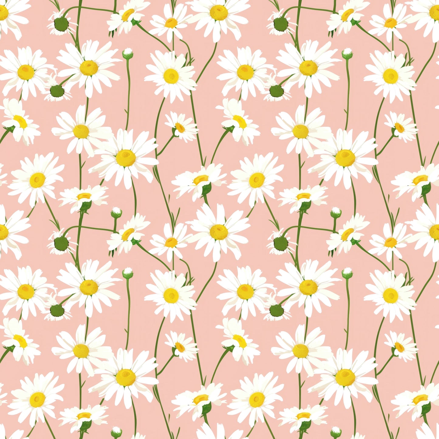 Daisy Chain - PRE ORDER