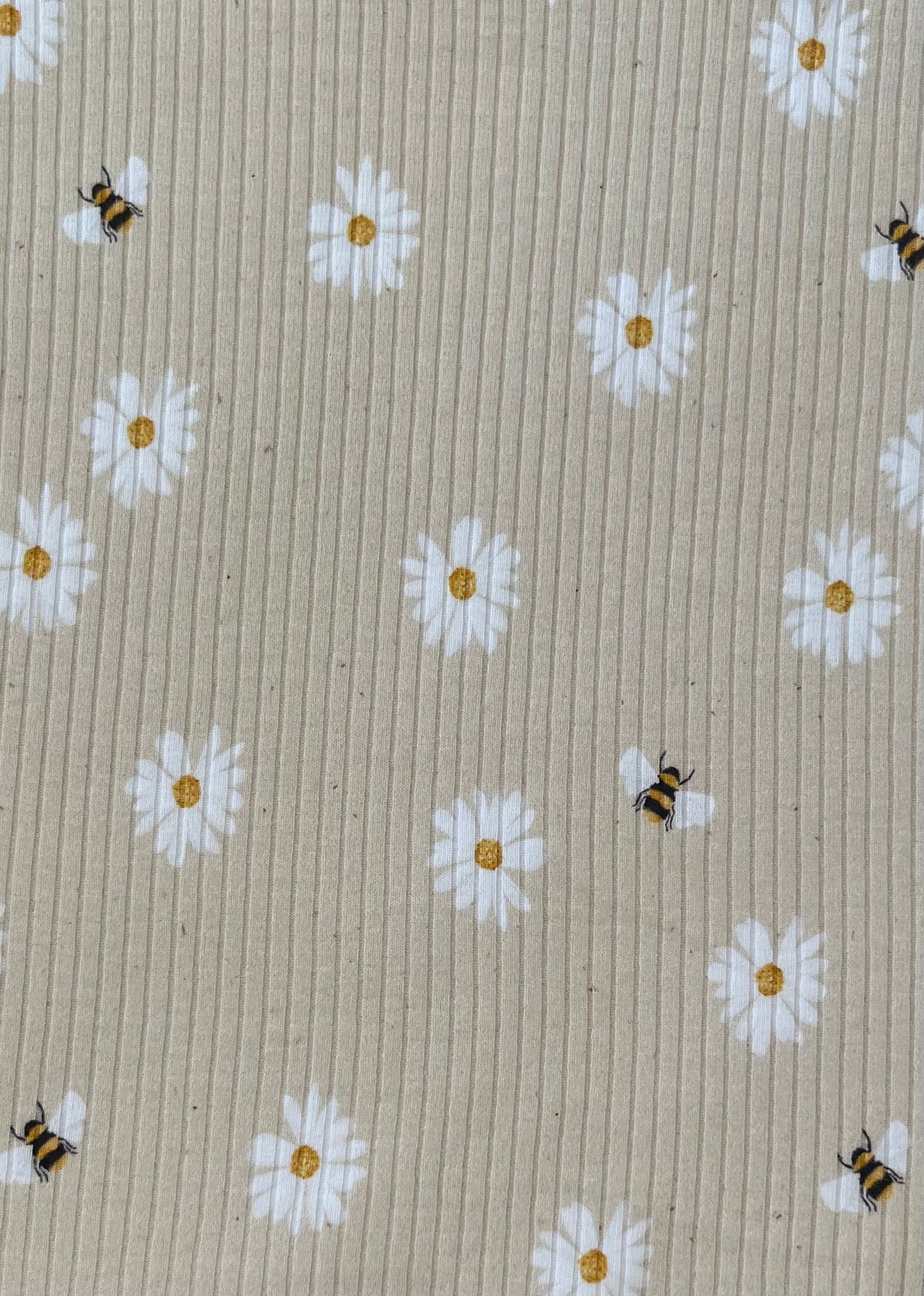 Daisy Doo Organic Cotton Rib Knit 250gsm