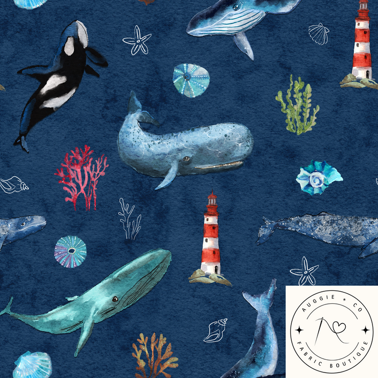 Sealife Prints