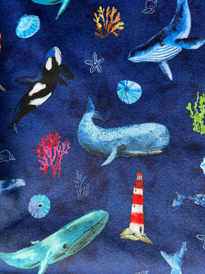 Whale Watching - PRE ORDER
