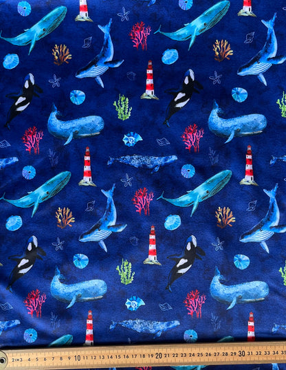 Whale Watching - PRE ORDER