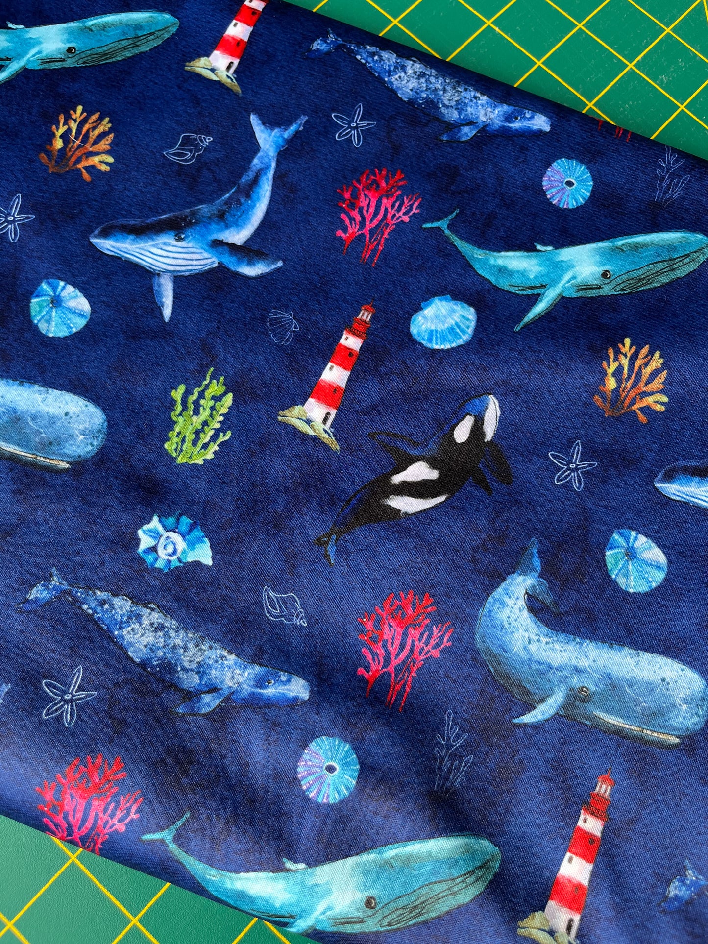 Whale Watching - PRE ORDER