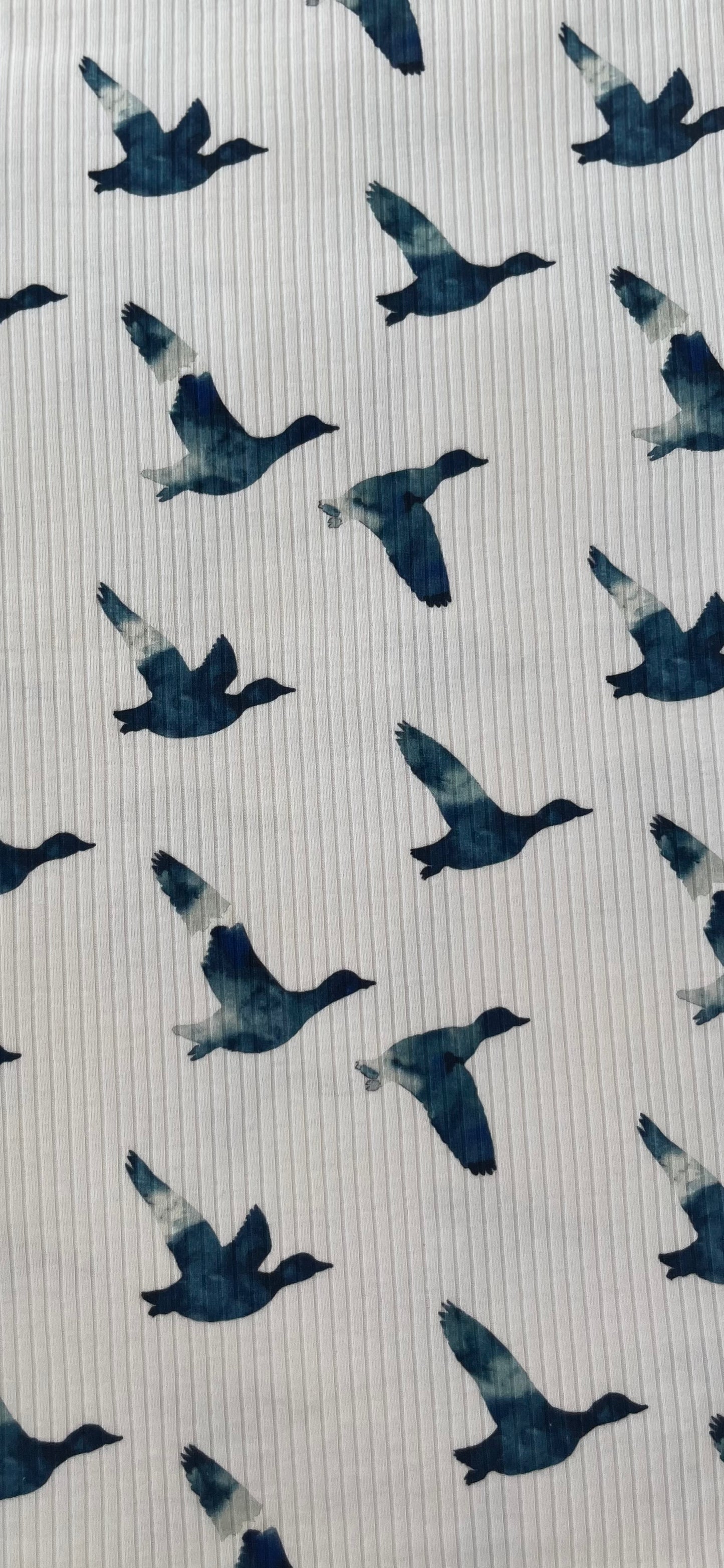 Blue Hunting Ducks Organic Cotton Rib Knit 250 gsm