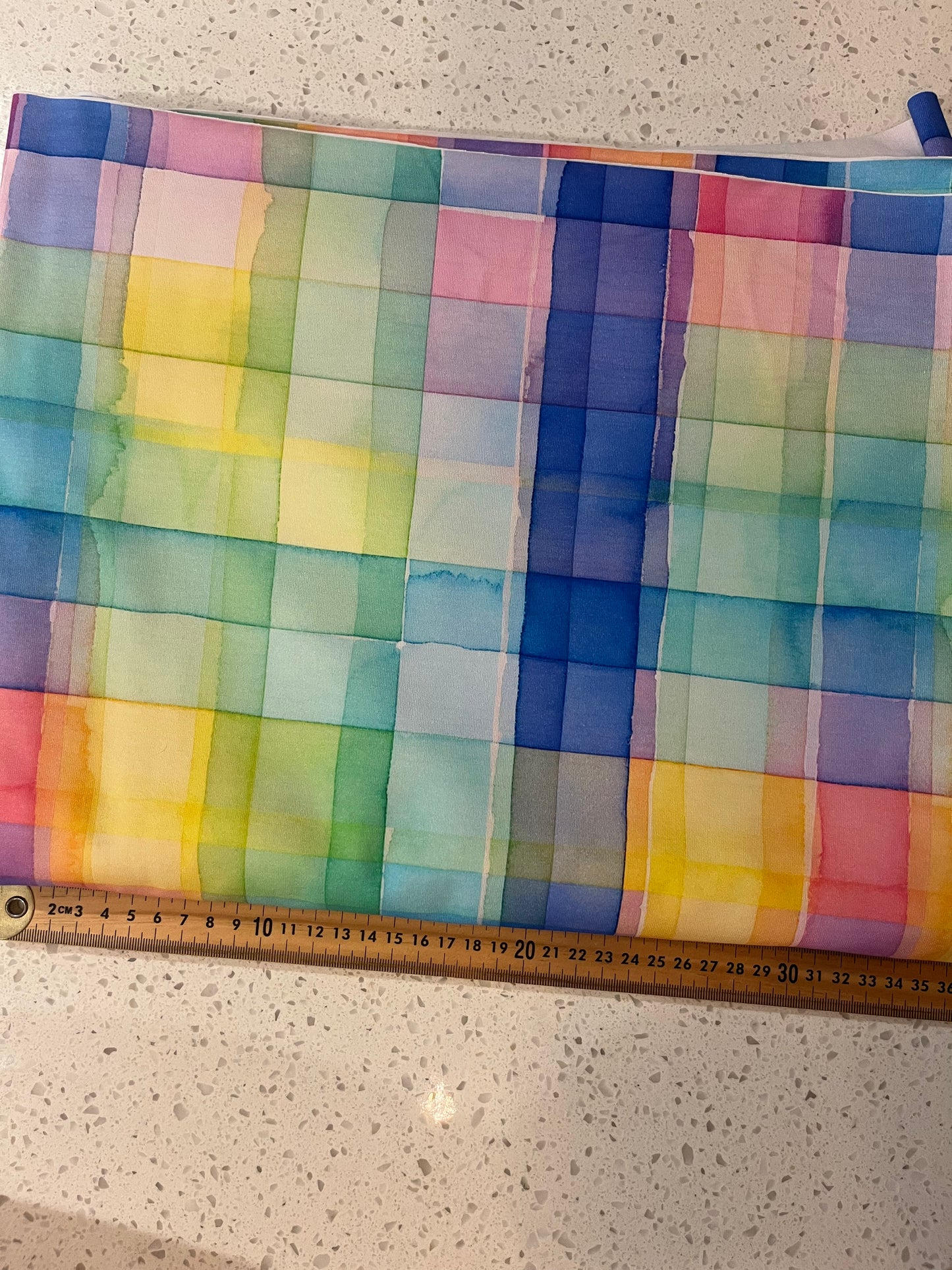 Picnic Party Brushed French Terry 280gsm Fabric
